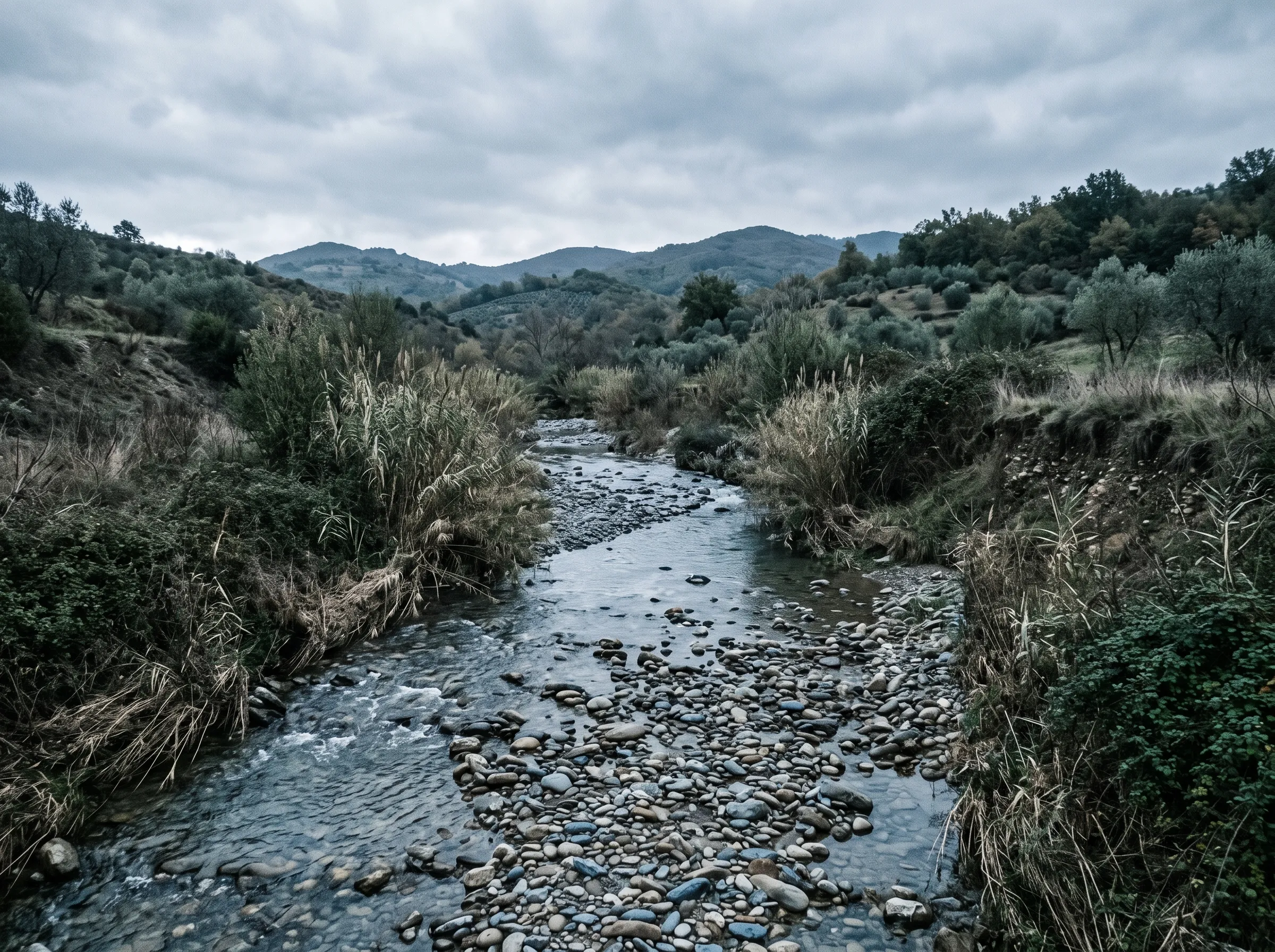 Torrente tra le colline con vegetazione sulle sponde
